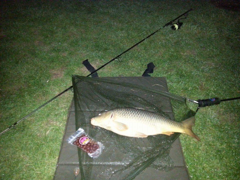 Moara Vlasiei 2 28 - 29 mar. - 101540801490489947839242398506527n.jpg